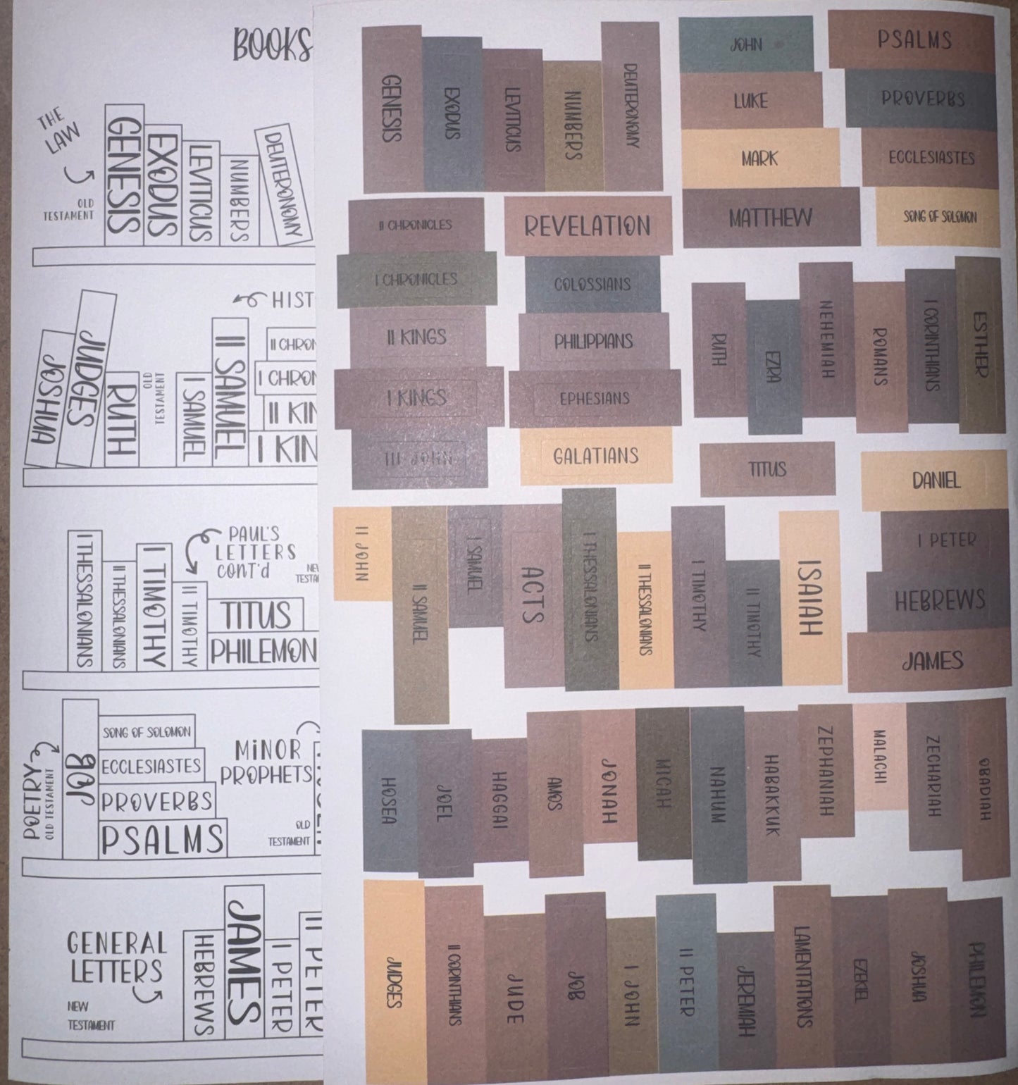 Books of the Bible Bookshelf Sticker Sheet